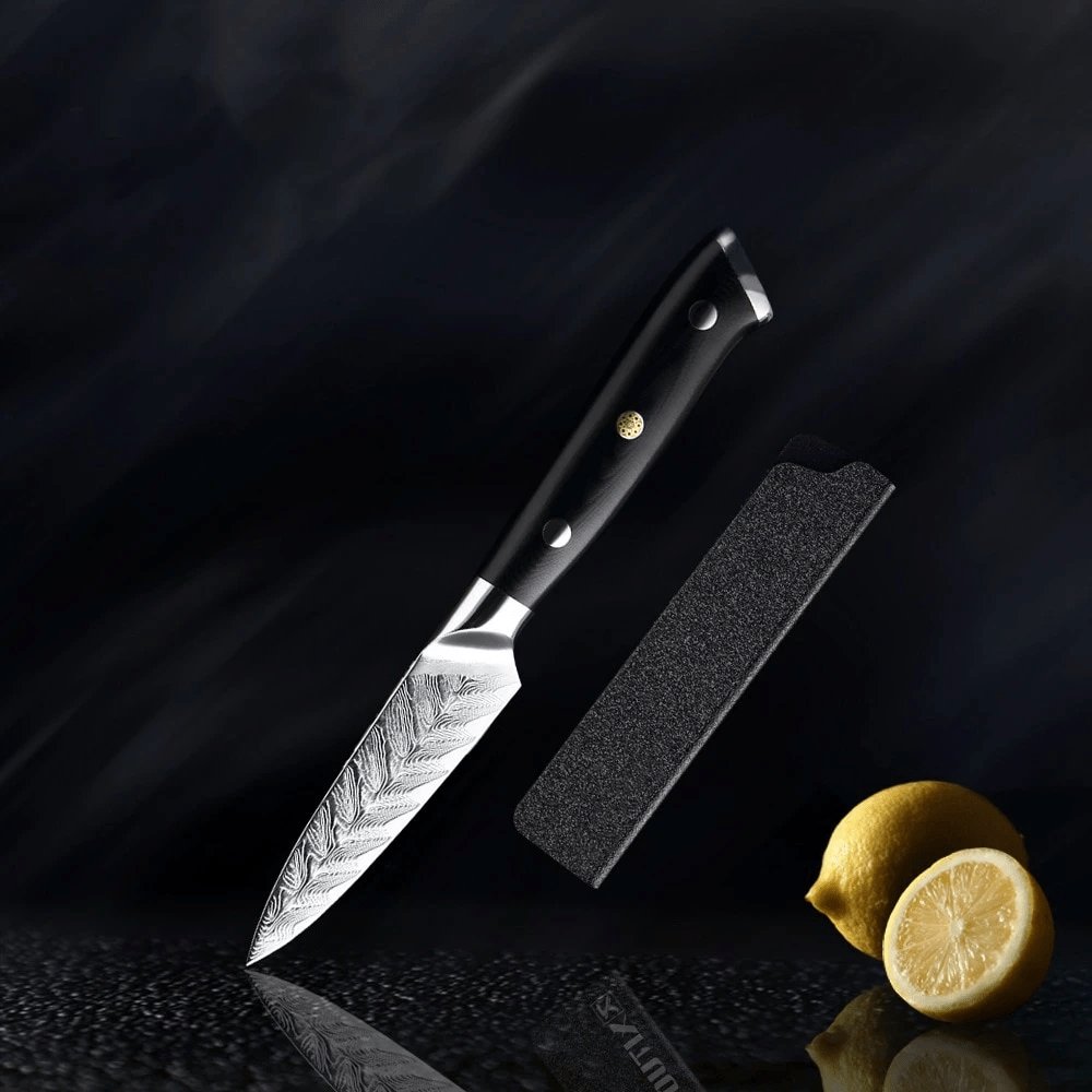 Riku (リク) Damaskus VG10 Messer