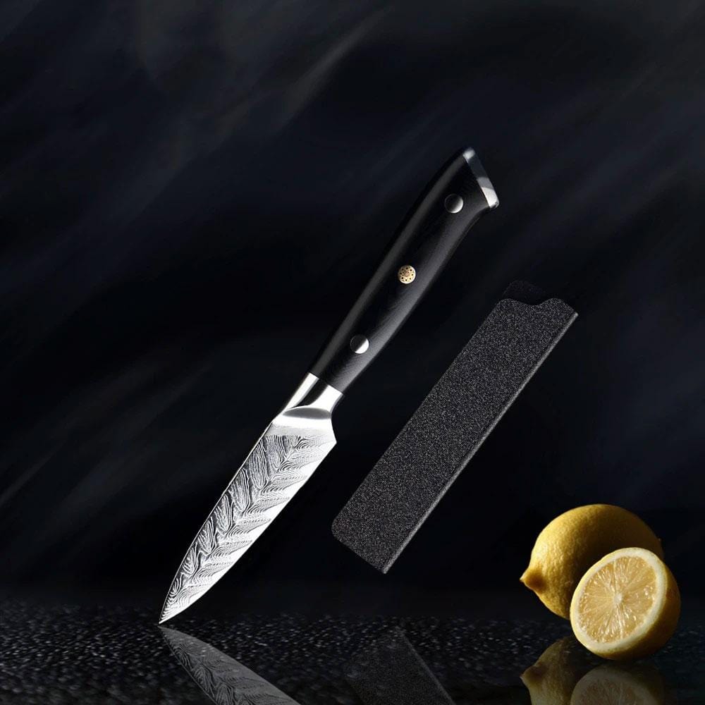 Riku (リク) Damaskus VG10 Messer